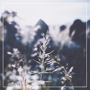 一二三区精品无码视频
