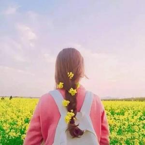 一二三区精品无码视频
