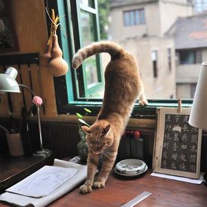 一二三区精品无码视频
